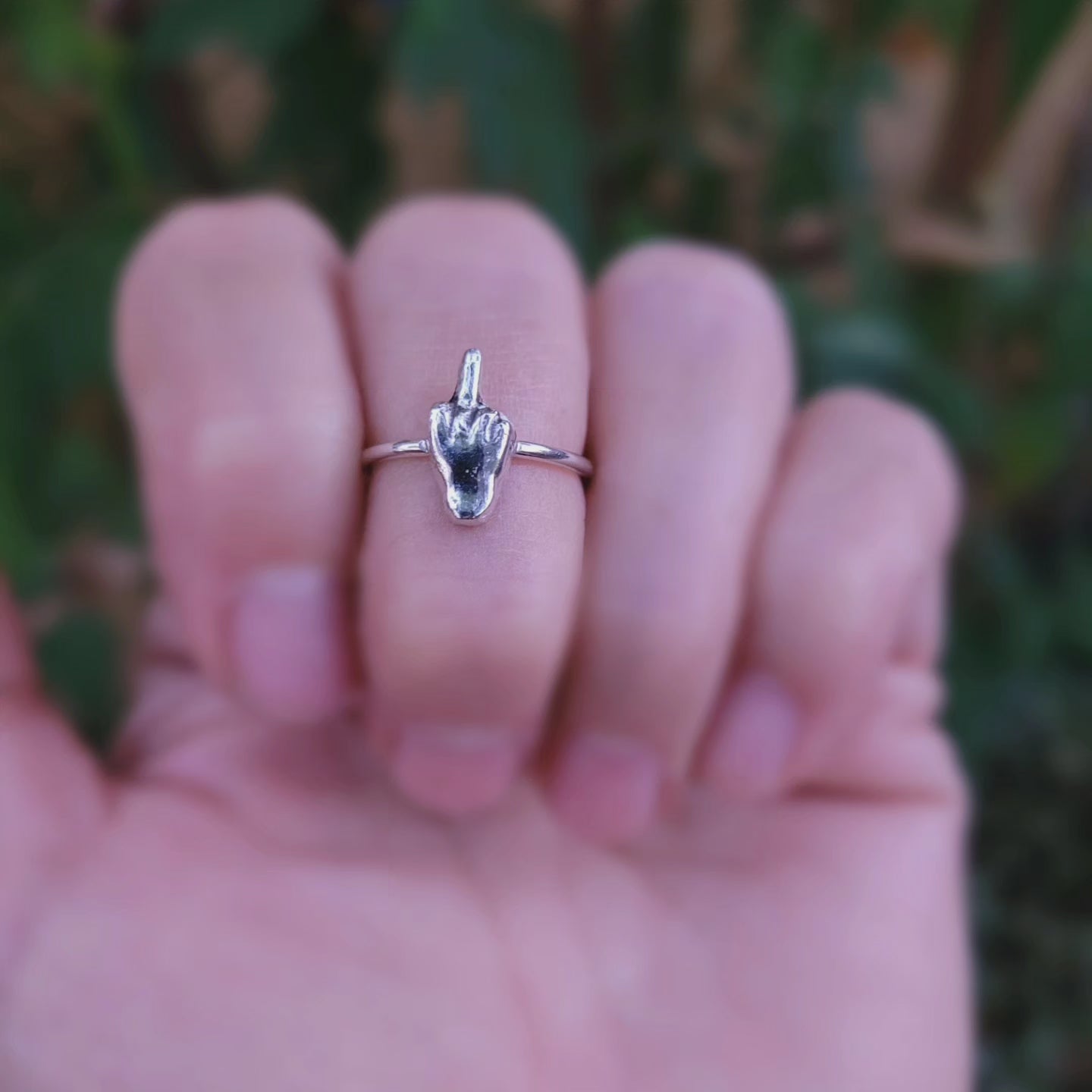 The bird