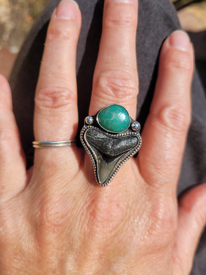 Adjustable shark tooth ring with turquoise