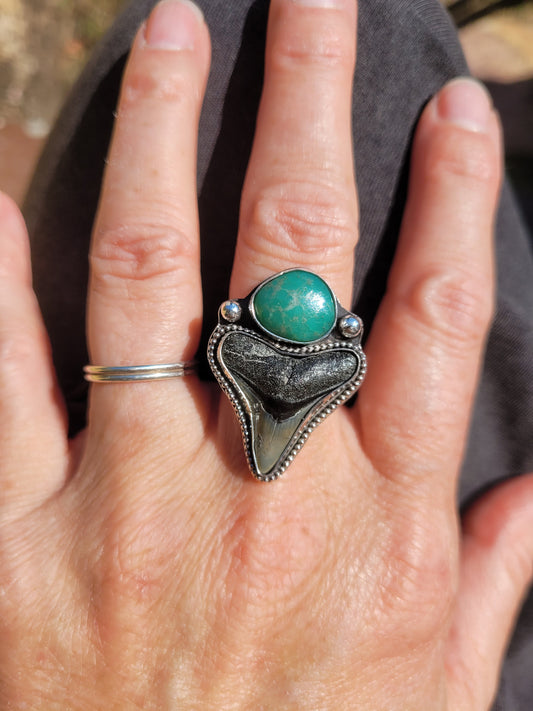 Adjustable shark tooth ring with turquoise