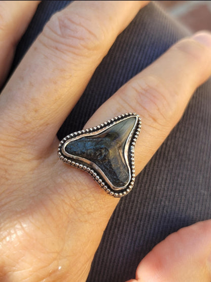 Bull shark tooth ring