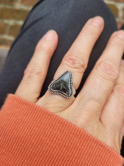 Bull shark tooth ring