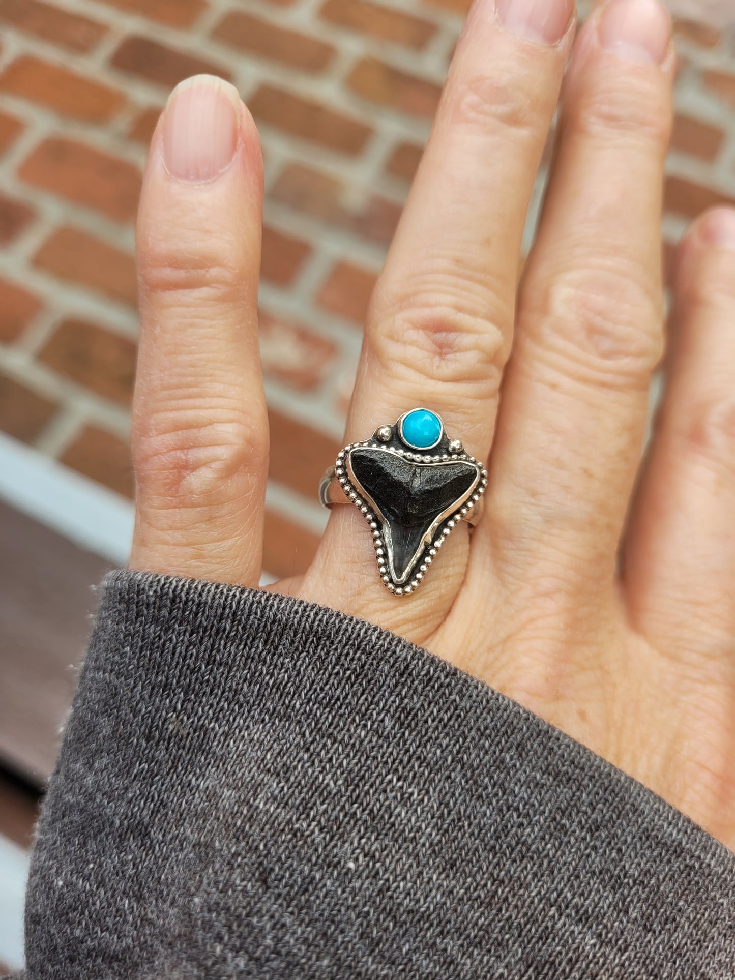 Bull shark tooth ring w/ Kingston turquoise