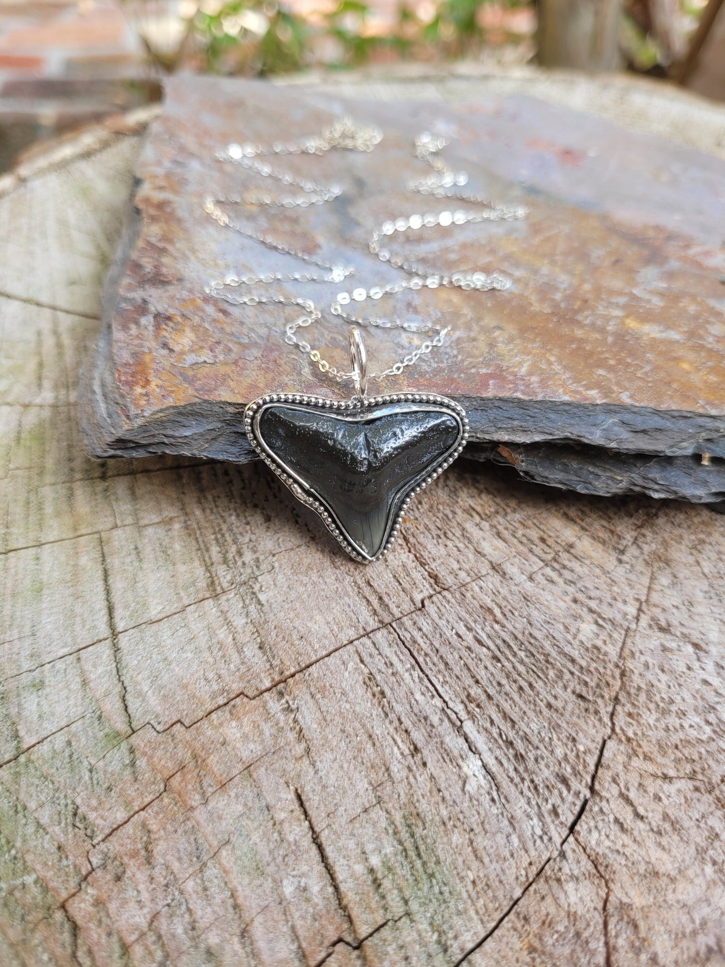 Shark tooth pendant necklace