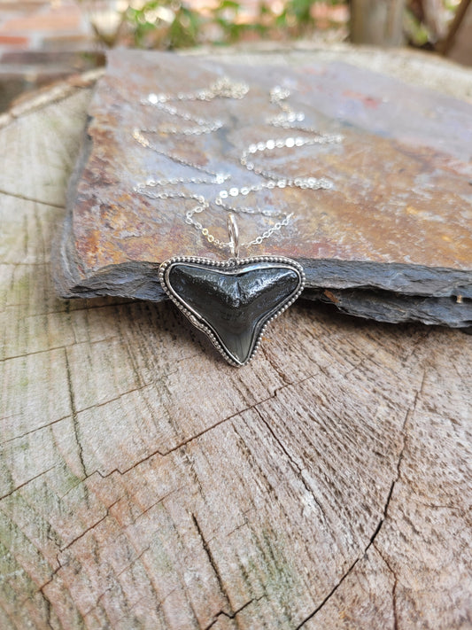 Shark tooth pendant necklace