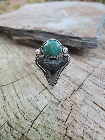 Adjustable shark tooth ring with turquoise