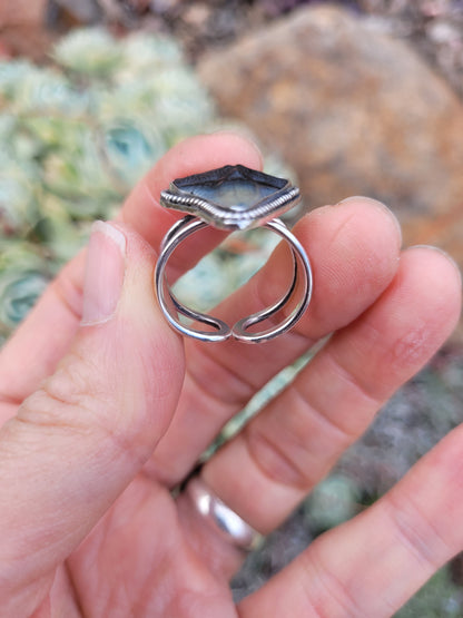 Adjustable Bull shark tooth ring