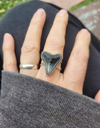 Adjustable Bull shark tooth ring