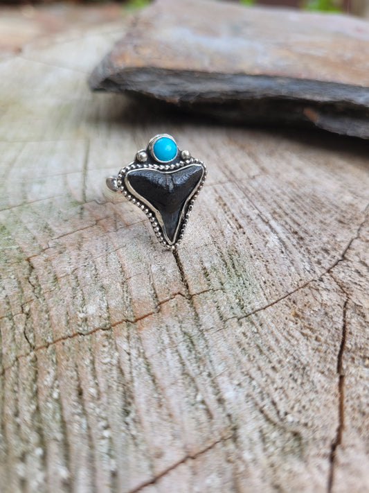 Bull shark tooth ring w/ Kingston turquoise